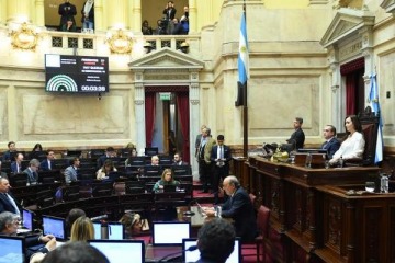Los detalles de la discusión en el Senado: entre el aumento a los jubilados, la emergencia en discapacidad y el rol de los gobernadores