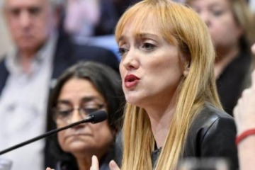 Fernández Sagasti cuestionó a Milei por amenazar con el veto: "En Argentina existe la división de poderes"