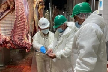 Efecto Milei: cae la producción argentina y crecen las importaciones de carne desde Brasil por los altos costos locales