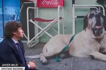 Mondino asintió que Milei habla con Conan y "perros muertos" y que tiene un "desequilibrio mental"