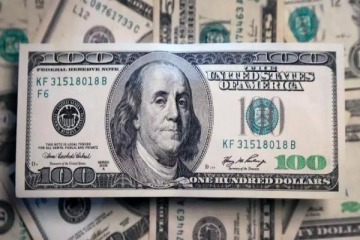 Precaución:el dólar oficial corta racha alcista y cede terreno pese a la supertasa