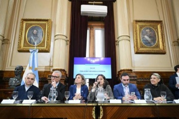El Senado dictaminó la declaración de la emergencia en pediatría y presiona al Gobierno