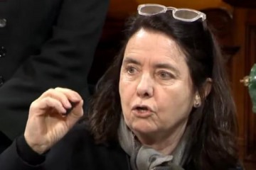 Foto de No creo que los nios argentinos tengan derecho a ser curados en el Garrahan: las polmicas declaraciones de una senadora PRO-LLA