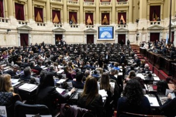 Fuerte revés para Milei: Diputados rechazó el veto a la Ley de Emergencia en Discapacidad