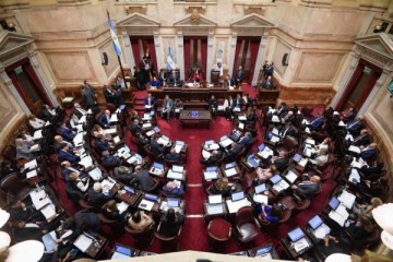 Tras el veto rechazado en Diputados, el Senado sesiona el jueves para avanzar con la emergencia pediátrica y universitaria