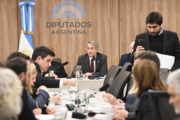 La comisión investigadora del caso $LIBRA avanza: el jueves se reúnen para definir autoridades y los pasos a seguir