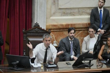 Diputados: la comisión que investigará el caso $LIBRA avanza con la elección de autoridades