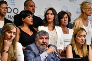 Senado: Unión por la Patria aseguró el rechazo al veto de Discapacidad