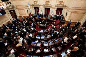 Revés para Milei: la oposición dejó sin efecto el veto del Gobierno y ratificó la emergencia en Discapacidad