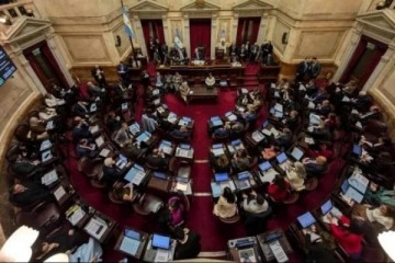 Emergencia en Discapacidad: quiénes son los 7 senadores que apoyaron el veto de Javier Milei