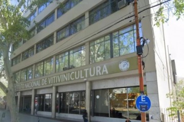 Revés judicial para el Gobierno: suspenden pases a disponibilidad en Instituto Nacional de Vitivinicultura