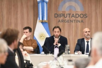 Dos funcionarios se ausentaron a  la comisión investigadora de $LIBRA Diputados