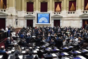 Cuál sería la estrategia de la oposición en el Congreso sobre los vetos de Milei a universidades y al Garrahan