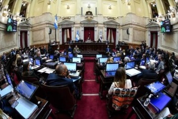 Senado: cuál es la situación de los vetos de Javier Milei en la cámara alta