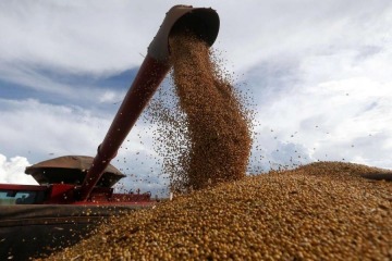 Retenciones cero: exportadores advierten que la caída del dólar amenaza con demorar las ventas
