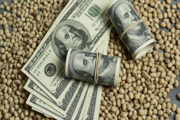 CONINAGRO advierte que la eliminación temporal de retenciones no benefició a los productores 