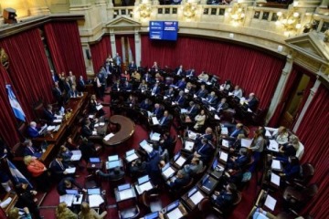 Foto de Senado: la cmara alta sesiona para rechazar los vetos de Milei a universidades y emergencia peditrica