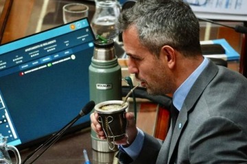 Insólito: Martín Menem denuncia acciones desestabilizantes y responsabiliza al Congreso por los tropiezos del Gobierno