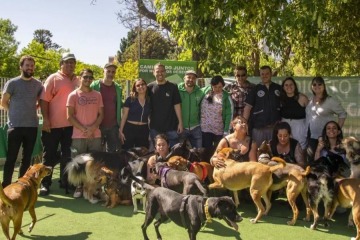 A contratiempo, trabajadores caninos buscan formalizar el sector: Queremos una reforma laboral, pero que incorpore a todos