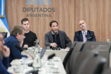 Causa $LIBRA: Diputados apela decisión judicial y defiende "las atribuciones constitucionales del Congreso"