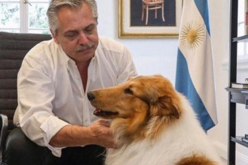 Murió Dylan, el perro que acompañó a Alberto Fernández en su presidencia