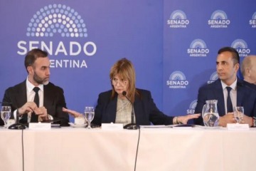 El Senado comenz&oacute; el tratamiento de la reforma laboral en comisi&oacute;n