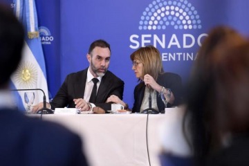 El Senado dictamin&oacute; a favor del Presupuesto 2026 y del proyecto de �Inocencia Fiscal"