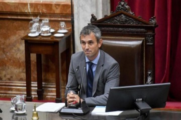 Foto de Mart�n Menem proyecta a Milei como un proyecto �a 40 a�os� y asegur� que ya piensan en una futura reelecci�n