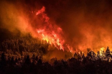 Advierten riesgo "extremo" por incendios forestales en varias provincias