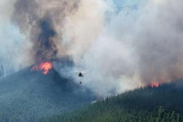 Denuncian que Milei �desfinanci&oacute;� el Servicio Nacional del Manejo del Fuego