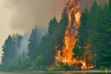 Incendios en Chubut: nuevos indicios de la investigaci&oacute;n apuntan a una "disputa por tierras"