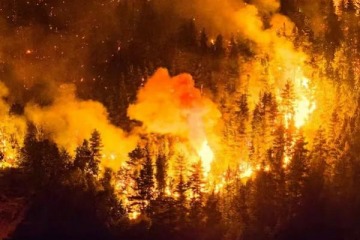 Foto de Declaran "Estado de Cat�strofe" en Epuyen por el avance de los incendios