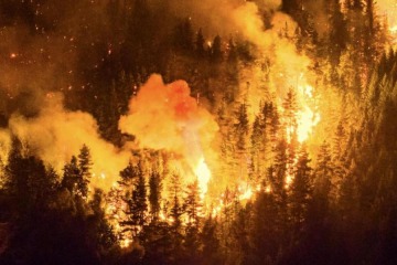 Tras la insistencia de las provincias, el Gobierno decret&oacute; la Emergencia &Iacute;gnea