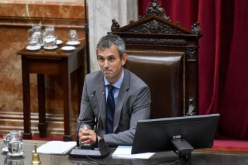 Mart&iacute;n Menem mueve fichas en Diputados para avanzar con la baja de la edad de imputabilidad