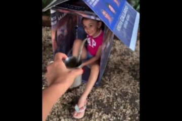 Ins&oacute;lito: Virginia Gallardo hizo refugios para perros hechos de carteles con su cara y desat&oacute; la pol&eacute;mica