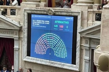 Diputados dio media sanci&oacute;n al proyecto de LLA para bajar la edad de imputabilidad a los 14 a&ntilde;os