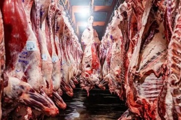 La carne subi&oacute; un 6,9% en marzo y el consumo cay&oacute; a su nivel m&aacute;s bajo en 20 a&ntilde;os, post crisis del 2001