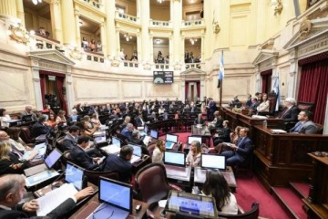 Senado: el Gobierno ingresar&iacute;a un proyecto para eliminar las PASO e incorpor&iacute;a Ficha Limpia