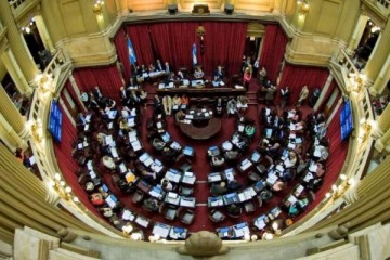 Senado: se debate la reforma de Salud Mental y suman adicciones como enfermedad