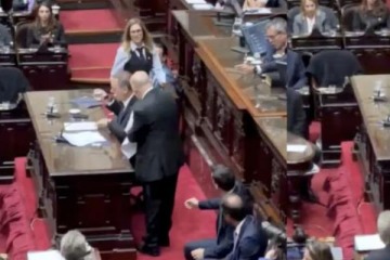 Foto de Lemoine destrat� a un diputado ex combatiente de Malvinas: los detalles 