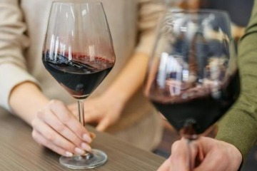 Vinos: el Gobierno desfinanci&oacute; la Coviar y pone en jaque al modelo vitivin&iacute;cola mientras favorece a grandes bodegas