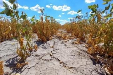 Emergencia agropecuaria: Chubut, Santa Cruz y Mendoza en alerta por sequ&iacute;as, heladas y granizo