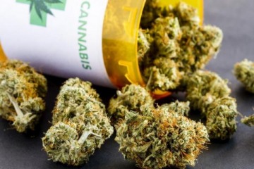 Foto de Diputados: vuelve a tomar foco el debate por la legalizaci�n de la marihuana 