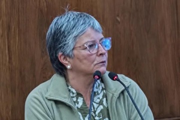 Foto de Causa Cuadernos: m�s contradicciones y evasivas en la declaraci�n de la exesposa de Oscar Centeno