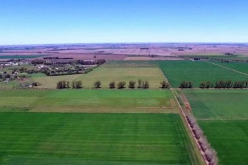 Foto de Ley de Tierras: c�mo fue el recorrido parlamentario, qu� bancas apoyaron en comisiones y qui�n es la cabeza detr�s del proyecto
