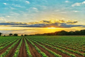 Foto de Diputados provinciales presentaron un proyecto de ley en PBA para frenar la compra de tierra a extranjeros