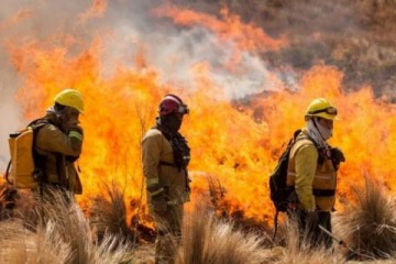 Otra derrota para el Gobierno: retir&oacute; los cambios a la Ley de Manejo del Fuego