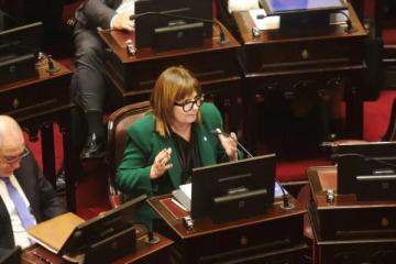Foto de "Vino un poco endiablada": Bullrich reconoció el fracaso de la Ley de Inviolabilidad de la Propiedad Privada en el Senado