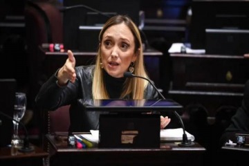 Fern&aacute;ndez Sagasti present&oacute; un proyecto de ley para que las senadoras con embarazo de riesgo puedan sesionar virtualmente