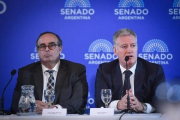 Foto de El Senado aprobó las designaciones de Bertuzzi y Yadarola para integrar la estratégica Cámara Federal porteña